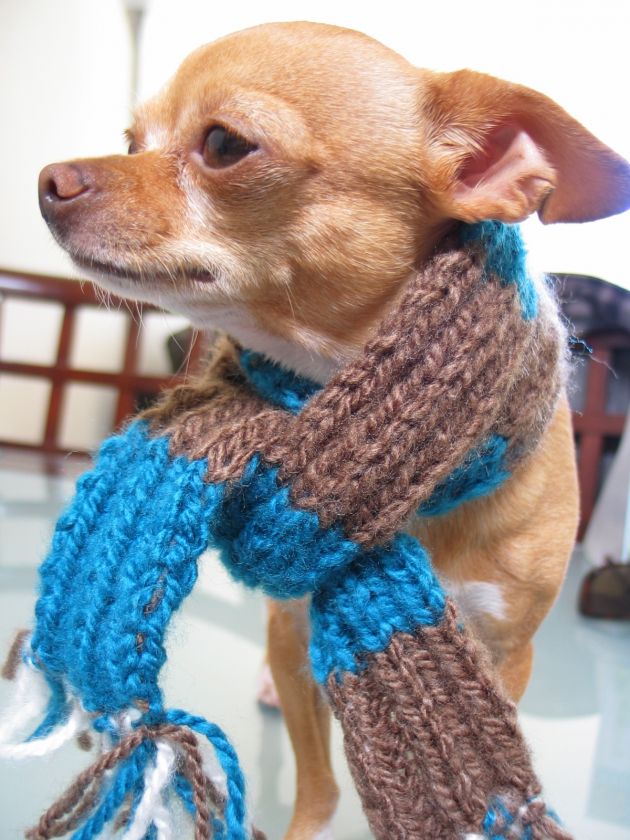 SUPER CHARMING DOGGIE SCARF 30 LONG ADORABLE COLORS  