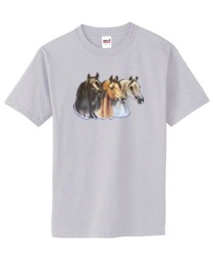 Arabian Horse Trio T Shirt S 6x Plus Sizes Choose Color  