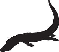 ALLIGATOR #2 Vinyl Sticker Decal animal silhouette car  