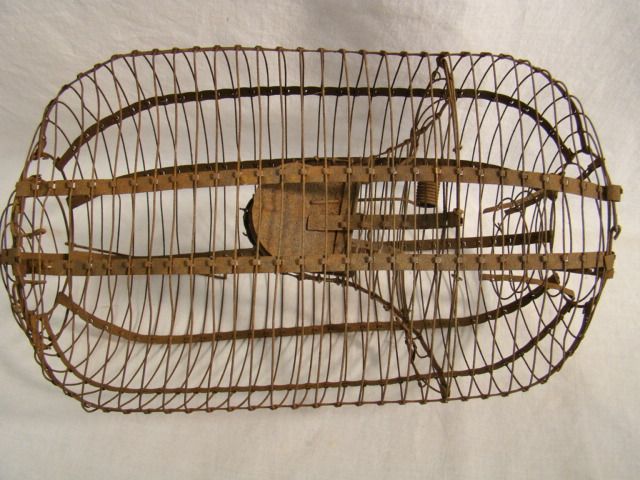   PRIMITIVE Wire CRITTER Rat CAGE Old MOUSE TRAP Old COUNTRY STORE Item