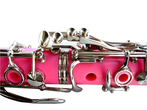 BRAND NEW PINK CLARINET W/CASE.5 YEARS WARRANTY  