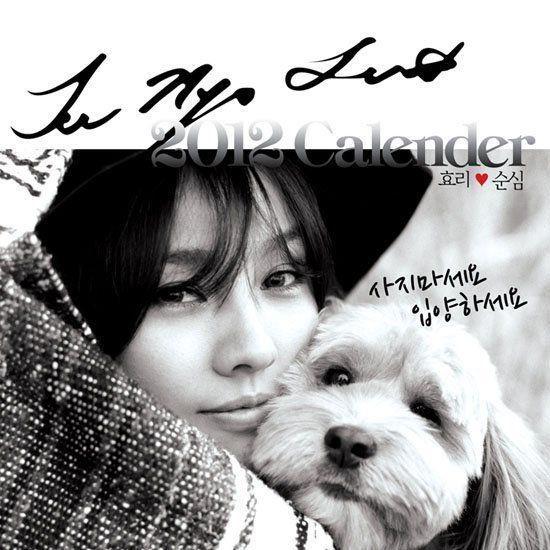   HYO RI   2012 Eco Project Official Desk Calendar + Free Gift  