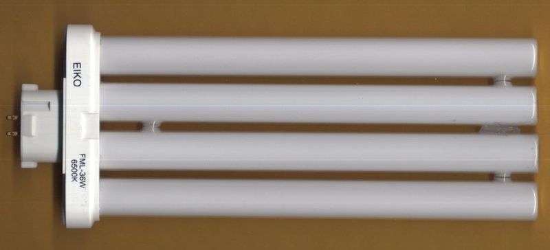 FML36/65 Fluorescent Tube Light Bulb (1 Bulb) 36 Watt  