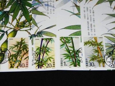 2444 47 CHINESE BAMBOO TREES CHINA MAXIMUM CARDS FDC  