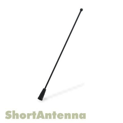 FA Black Pontiac Firebird Grand AM Prix antenna  