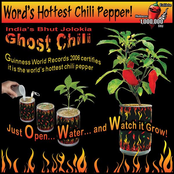   ghost chili is an incredibly hot pepper and now you can grow it