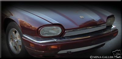 Jaguar XJS 92 96 Mesh Grille Grill stainless steel  